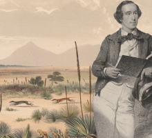 composite image - portrait of George French Angas holding a book composited onto a lithograph of Kangaroo hunting near Port Lincoln, South Australia